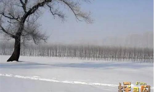 一句简短的雪景句子_一句简短的雪景句子一年级