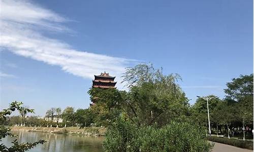 我家后院_我家后院有一片竹林,竹林里有一条小路