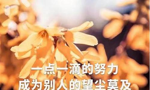 人生名句经典励志_人生名句经典励志短句