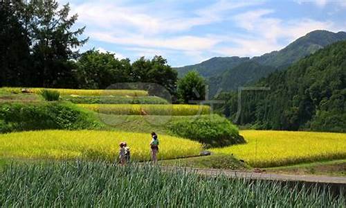 农村自然风景_农村自然风景图片