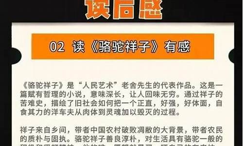 30篇名著读后感100字